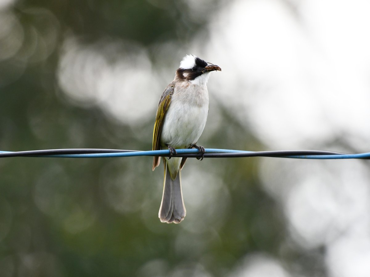 #:
         
          f/ at mm - Shutter Speed: - ISO: